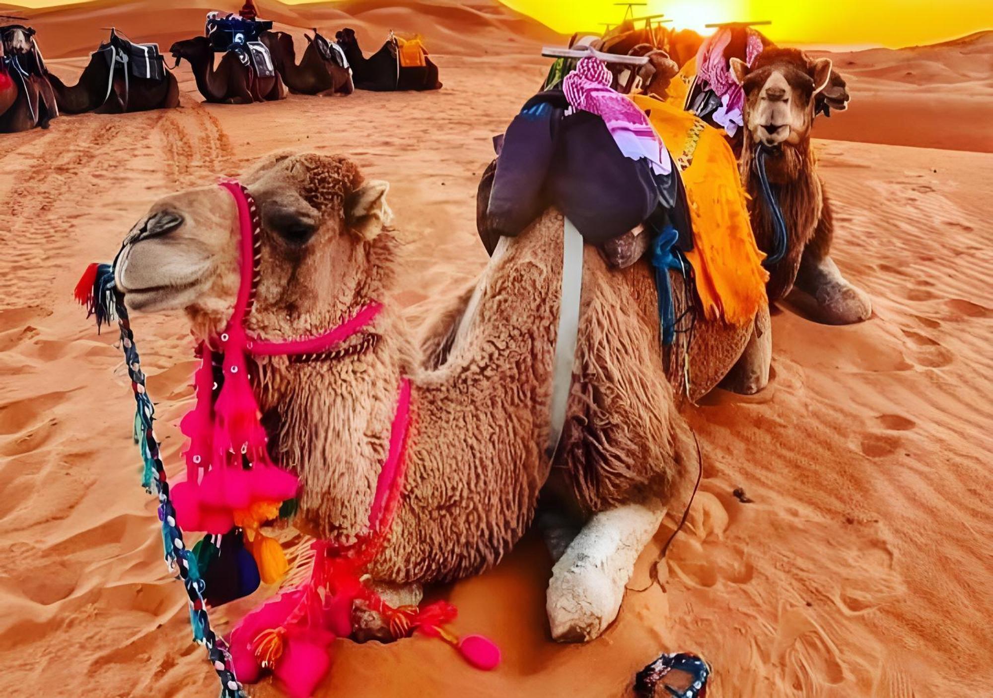 מרזאוגה Top Desert Luxury Camp מראה חיצוני תמונה